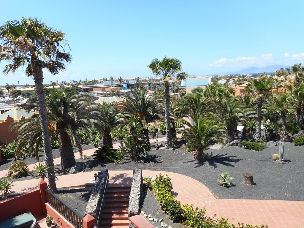 Appartement Oasis Royal *